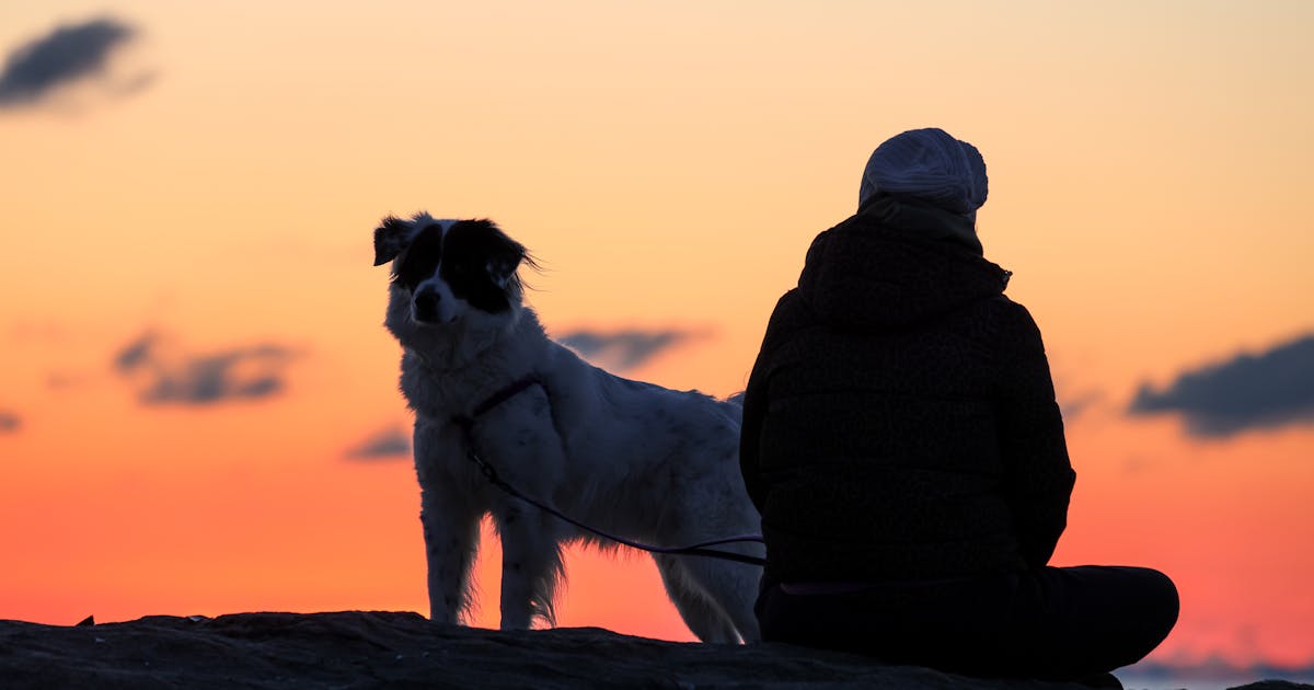 How to Talk to Your Dog: 7 Science-Backed Ways to Communicate